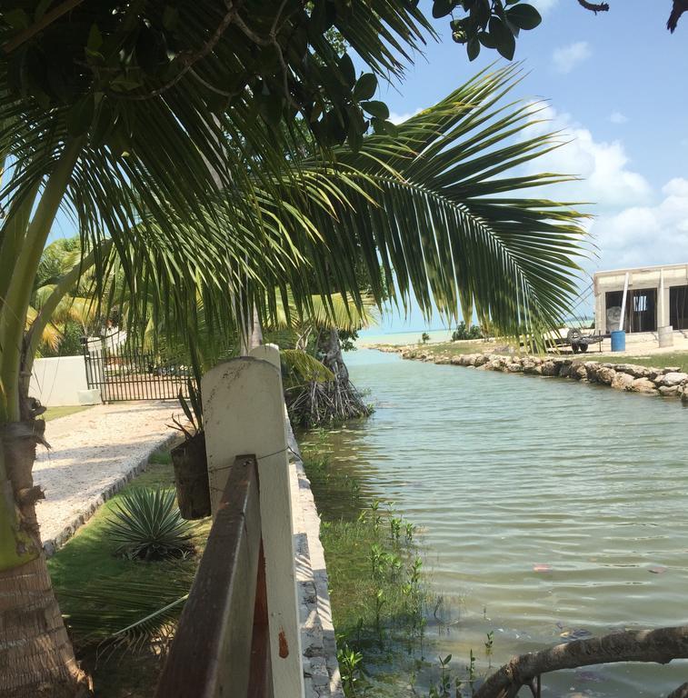 Royale Manor Villa Corozal Exteriör bild